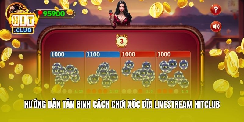 Hướng dẫn tân binh cách chơi Xóc Đĩa Livestream Hitclub